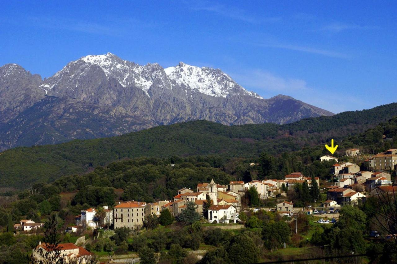 95M2 Au Calme A 25Mn Ajaccio, Plages, Linge Inclus Parking Ok Ucciani Exterior photo